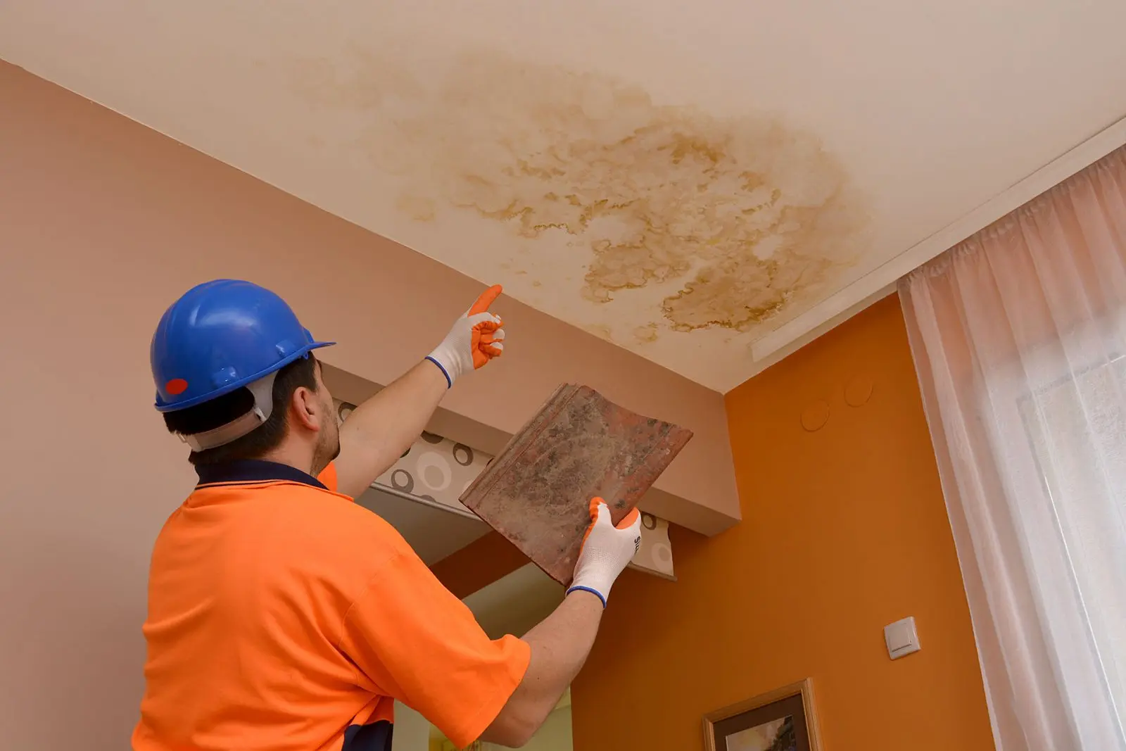 water damage remediation