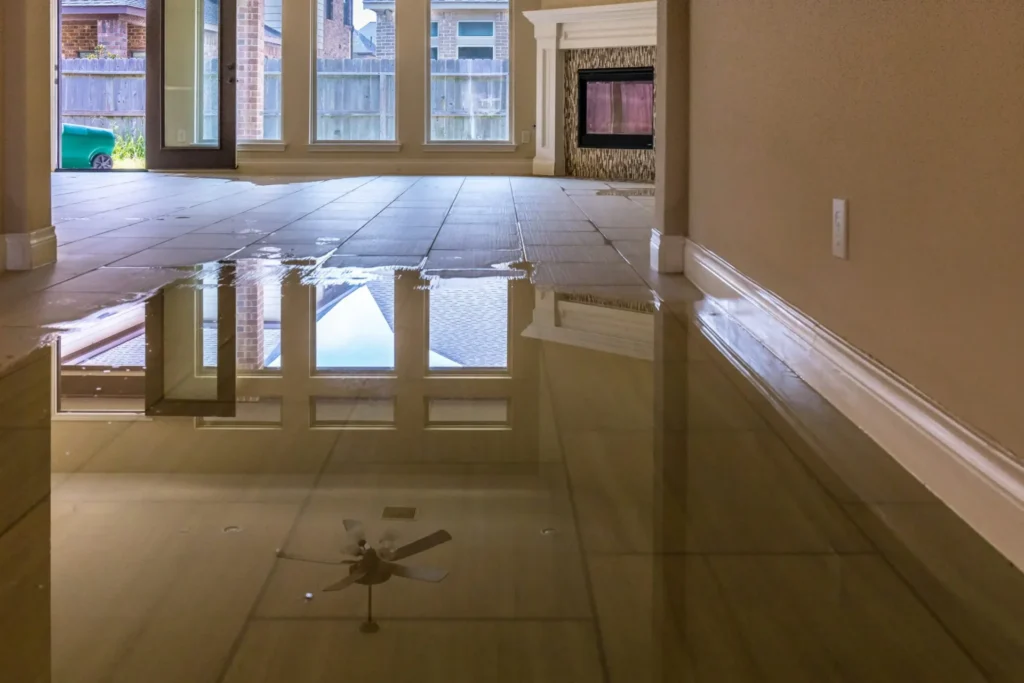 The Homeowner's Guide to Water Damage Restoration: What You Need to Know