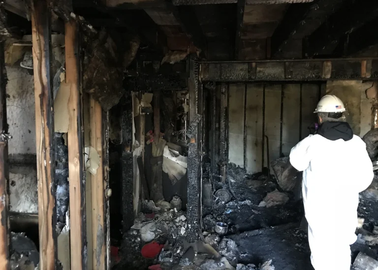 After the Blaze: Essential Steps for Effective Fire Damage Recovery